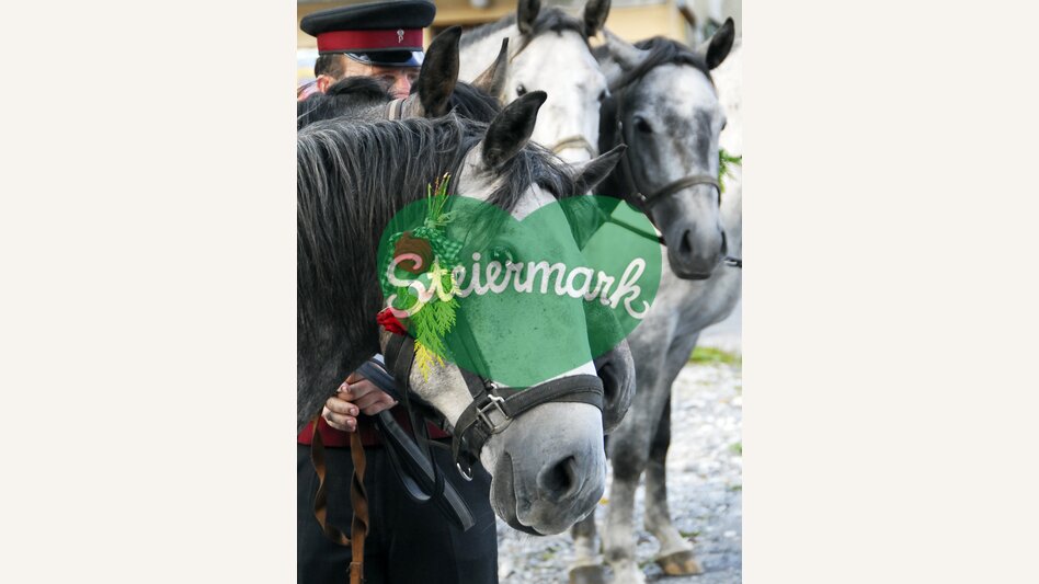 Almabtrieb Lipizzaner | © Steiermark Tourismus | Gery Wolf