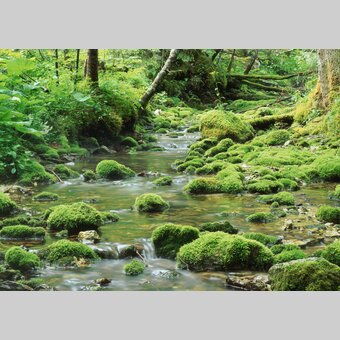 Hochschwabwasser | © STG