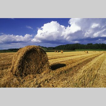 Strohballen | © Steiermark Tourismus | Kalb