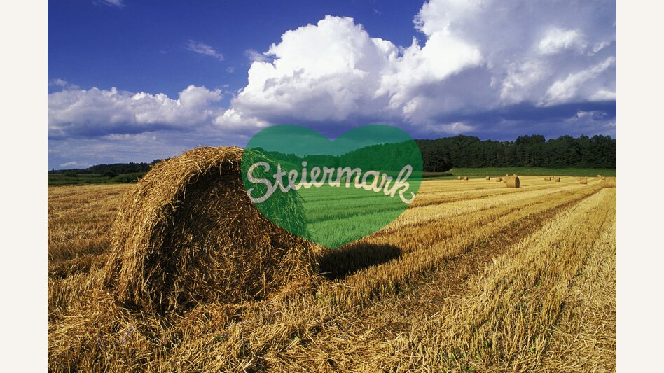 Strohballen | © Steiermark Tourismus | Kalb