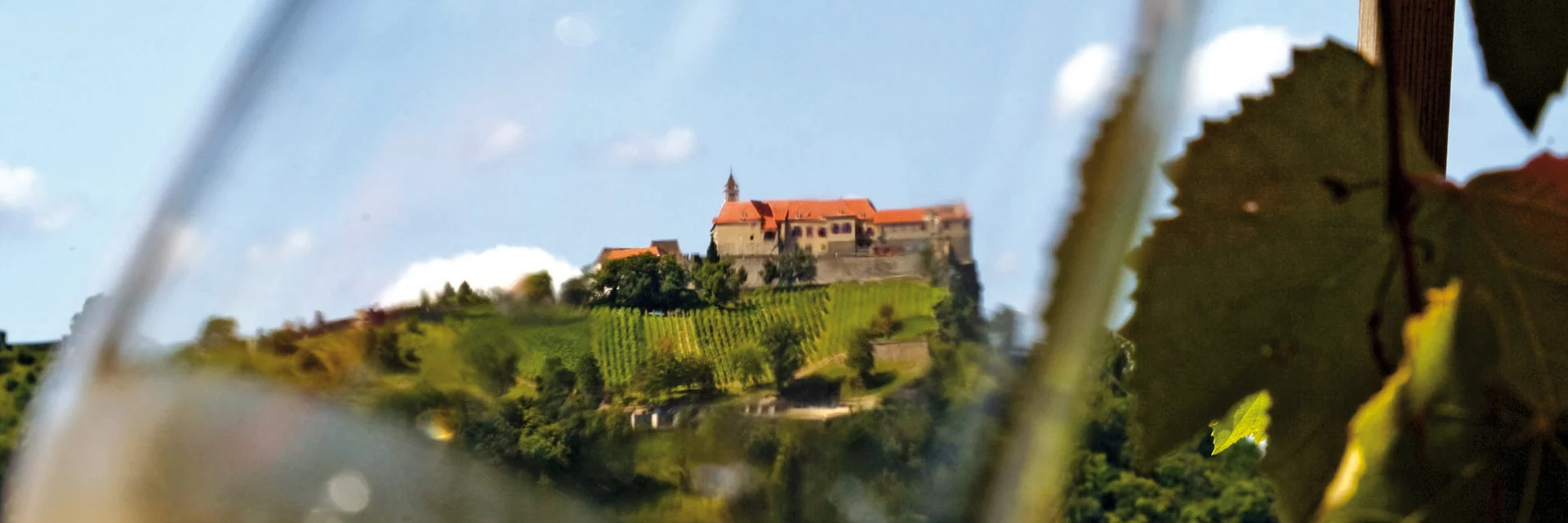 Riegersburg im Weinglas | © STG | R. Lamm