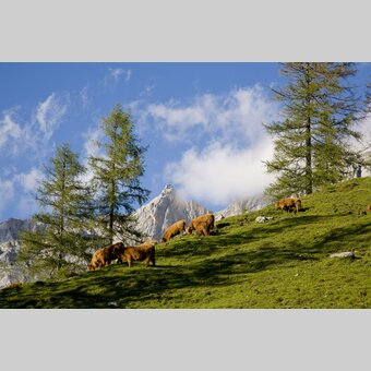 Türlwand, Ramsau am Dachstein | © STG | R. Lamm