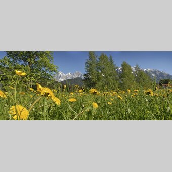 Frühling im Ennstal mit Blick auf den Dachstein | © STG | photo-austria.at