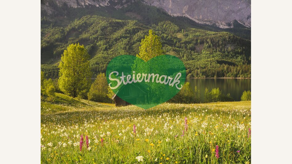 Bunte Frühlingsblumenwiese mit Dichternarzissen nahe des Grundlsees bei Gössl | © STG | Popp-Hackner