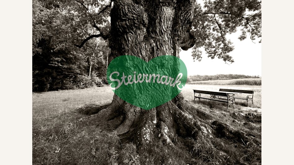 1000jährige Eiche in Bierbaum/Bad Blumau | © STG | Lanxx