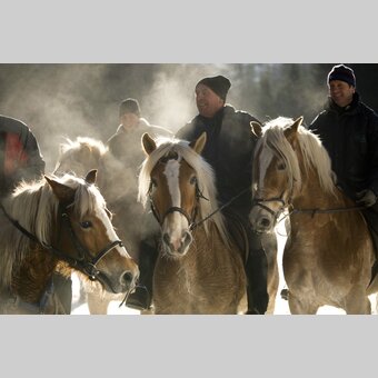 horse blessing | © Steiermark Tourismus | Atelier Jungwirth, Christian Jungwirth