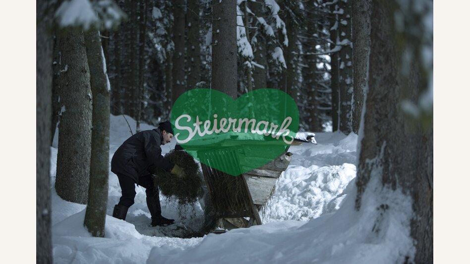 233816, BB03742 | © Steiermark Tourismus | Atelier Jungwirth I Bernhard Bergmann