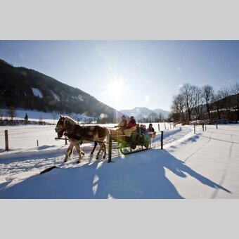 Cosy horse-drawn sleigh ride | © Steiermark Tourismus | Tom Lamm