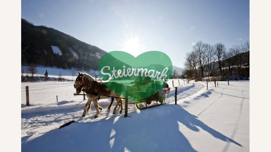 Cosy horse-drawn sleigh ride | © Steiermark Tourismus | Tom Lamm