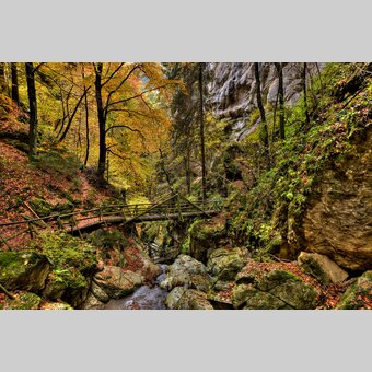 Herbst in der Bärenschützklamm  | © STG | Harry Schiffer
