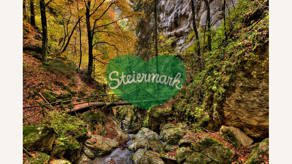 Herbst in der Bärenschützklamm  | © STG | Harry Schiffer