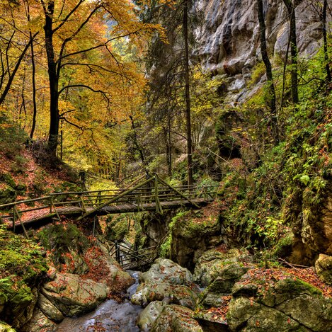 Herbst in der Bärenschützklamm  | © STG | Harry Schiffer