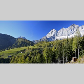 Ramsauer Almen vor Dachstein | © STG | Raffalt