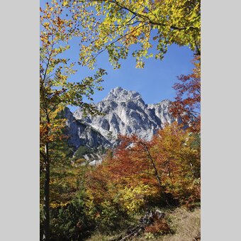 Herbst im Nationalpark Gesäuse  | © Nationalpark Gesäuse | Ernst Kren | Nutzung nur für Nationalpark-Zwecke!