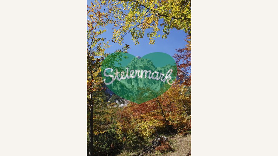 Herbst im Nationalpark Gesäuse  | © Nationalpark Gesäuse | Ernst Kren | Nutzung nur für Nationalpark-Zwecke!