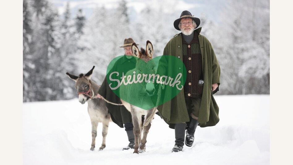 Eselwandern | © TV Oststeiermark | Harry Schiffer
