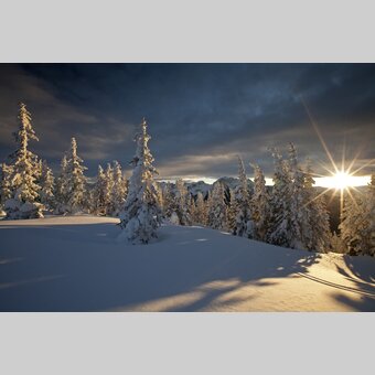 Planai | © STG | photo-austria.at