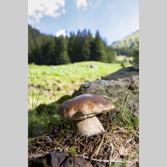 © STG | Harry Schiffer | ETZ-Pilgrimage Europe SI-AT