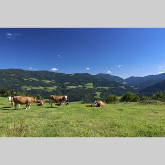 Hemma-Pilgerweg, Grebenzen | © STG | Harry Schiffer | ETZ-Pilgrimage Europe SI-AT