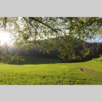 Hemma-Pilgerweg, Naturpark Grebenzen | © STG | Harry Schiffer | ETZ-Pilgrimage Europe SI-AT