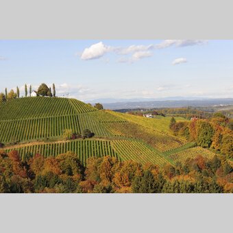 Steirischer Herbst im Weinland | © STG | Gery Wolf