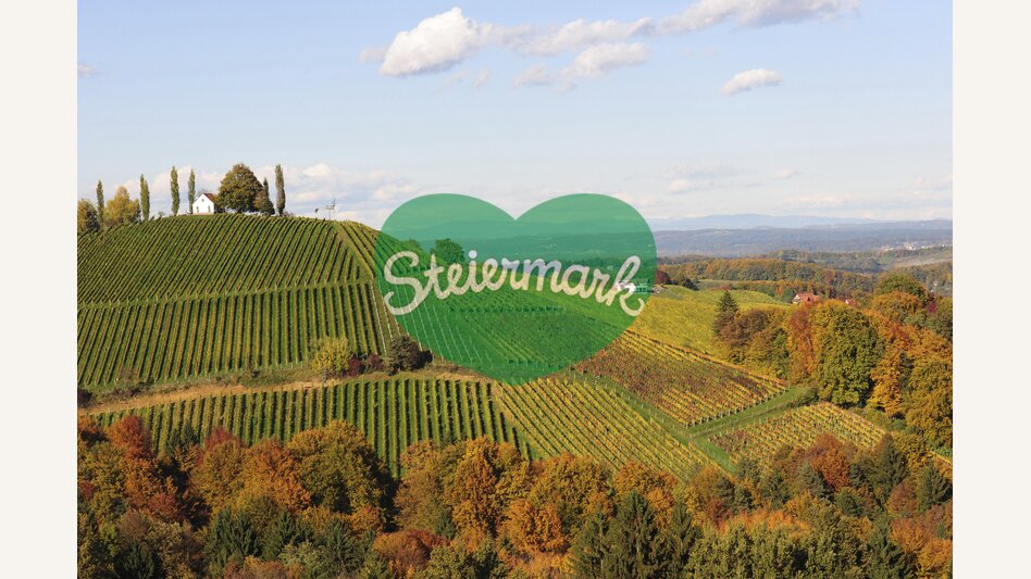 Steirischer Herbst im Weinland | © STG | Gery Wolf