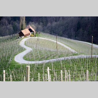Das Grüne Herz grenzüberschreitend in der slowenischen Stajerska | © STG | Atelier Jungwirth / Werner Schandor