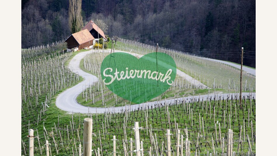 Das Grüne Herz grenzüberschreitend in der slowenischen Stajerska | © STG | Atelier Jungwirth / Werner Schandor