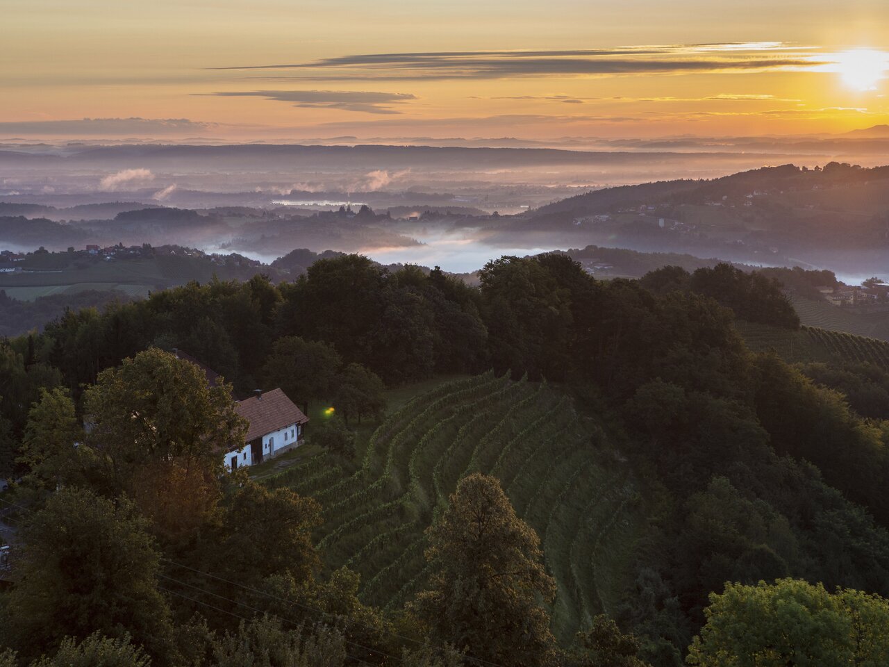 Sausaler Weinstraße bei Kitzeck | © STG | Harry Schiffer