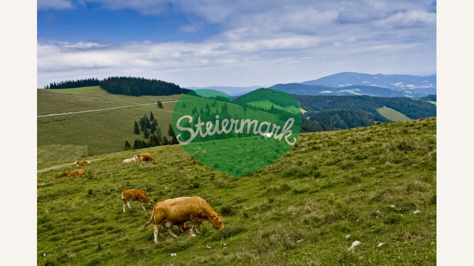 Mariazeller Weg, Teichalm | © STG | Leo Himsl | ETZ-Pilgrimage Europe SI-AT