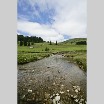 Mariazeller Weg, Teichalm | © STG | Leo Himsl | ETZ-Pilgrimage Europe SI-AT