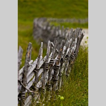 Mariazeller Weg, Sommeralm | © STG | Leo Himsl | ETZ-Pilgrimage Europe SI-AT