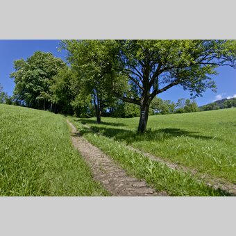 Mariazeller Weg, Gschaid/Birkfeld | © STG | Leo Himsl | ETZ-Pilgrimage Europe SI-AT