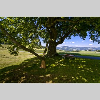 Mariazeller Weg, Gschaid/Birkfeld | © STG | Leo Himsl | ETZ-Pilgrimage Europe SI-AT