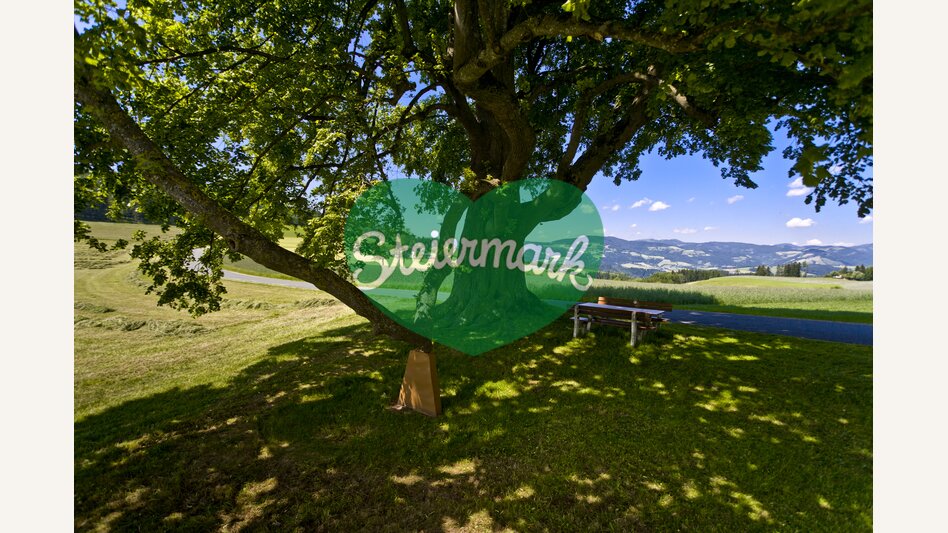 Mariazeller Weg, Gschaid/Birkfeld | © STG | Leo Himsl | ETZ-Pilgrimage Europe SI-AT