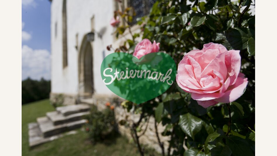 Rosenblüten | © STG | Leo Himsl | ETZ-Pilgrimage Europe SI-AT