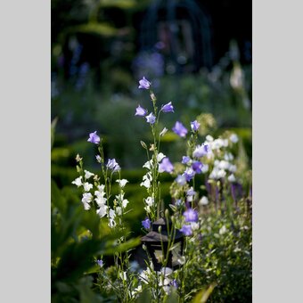 Der Garten Österreichs, die Oststeiermark | © STG | Tom Lamm