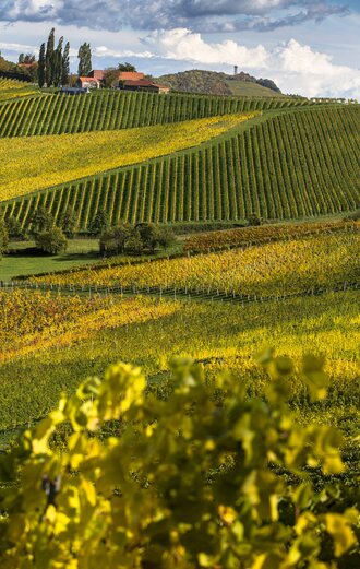 Südsteirische Weinstraße (Ratsch) | © STG | Harry Schiffer