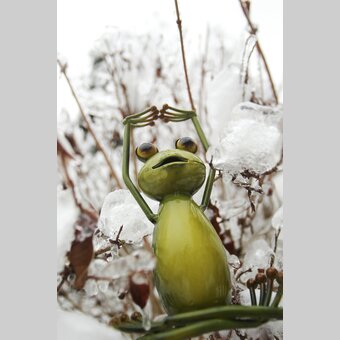 Wetterfrosch im steirischen Winter | © STG | Bernhard Loder