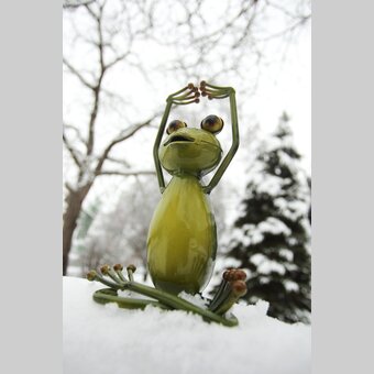 Wetterfrosch im steirischen Winter | © STG | Bernhard Loder