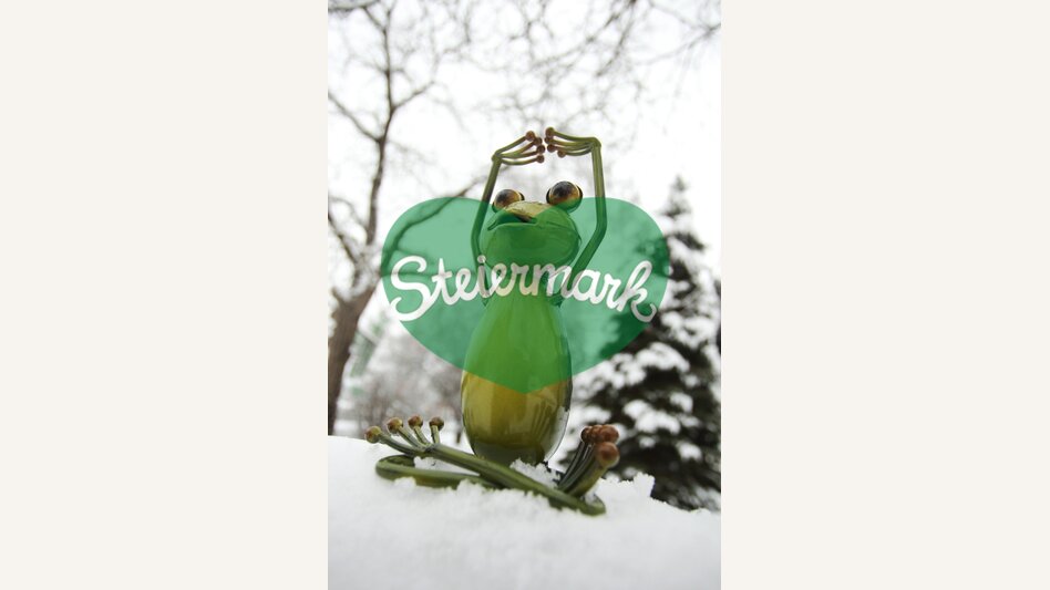 Wetterfrosch im steirischen Winter | © STG | Bernhard Loder