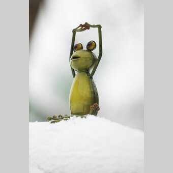 Wetterfrosch im steirischen Winter | © STG | Bernhard Loder