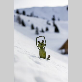 Wetterfrosch beim Après-Ski | © STG | Tom Lamm