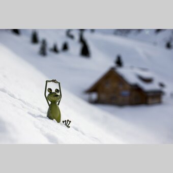 Wetterfrosch beim Après-Ski | © STG | Tom Lamm