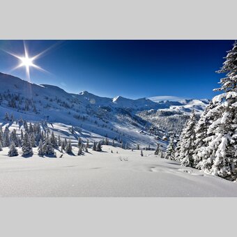 Planneralm | © STG | Tom Lamm