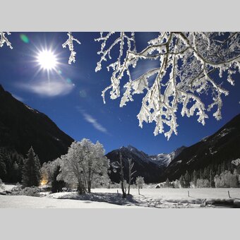 Vogelbeerbaum mit Eiskristallen im Tettermoor bei Rohrmoos | © STG | Photo Austria