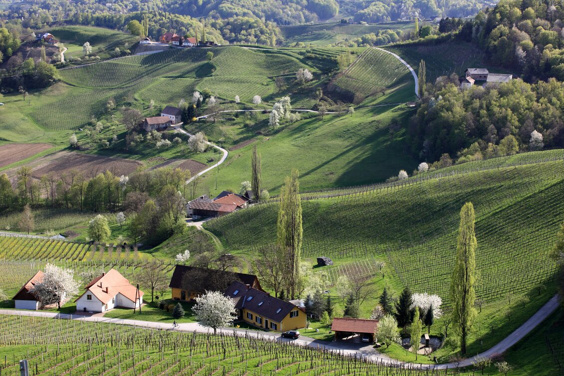 PackageBus-Tagesfahrt: Durch das südsteirische Weinland - Genuss ab Hof Entdeckungsreise