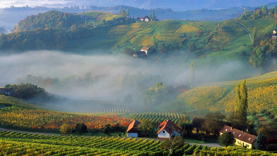 Herbst im Weinland | © STG | Gery Wolf