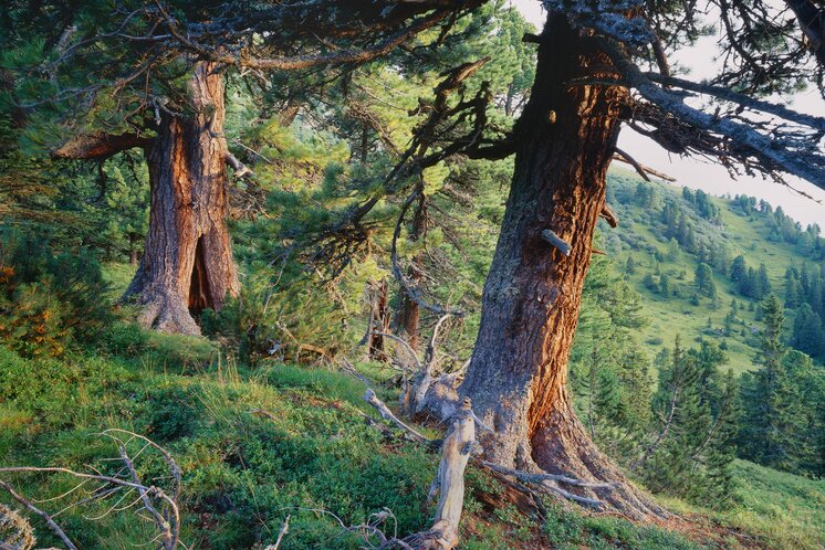 © Steiermark Tourismus