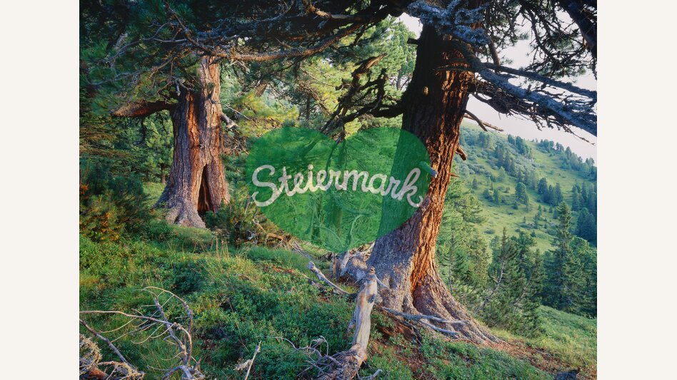 © Steiermark Tourismus